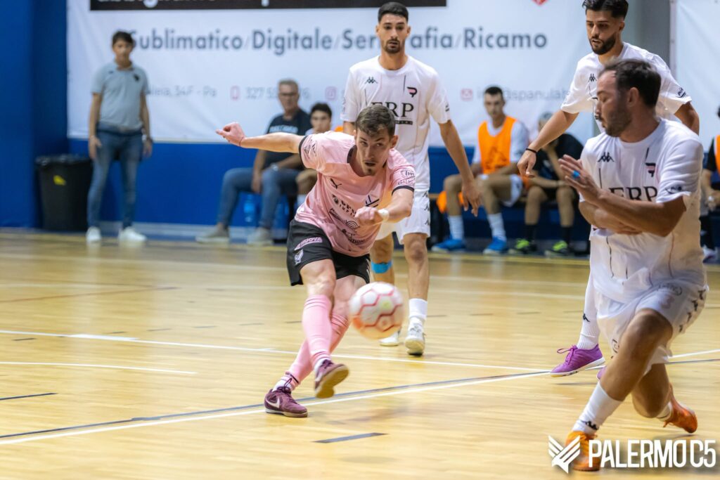 Palermo C5, Daricca